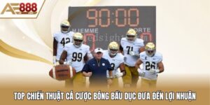 cá cược bóng bầu dục