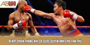 cá cược quyền anh