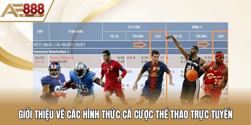 Tìm hiểu cá cược thể thao trực tuyến tại AE888
