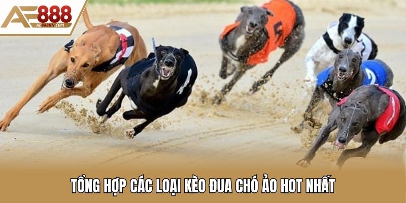 Tổng hợp các loại kèo đua chó ảo hot nhất