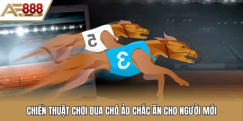 Chiến thuật chơi đua chó ảo chắc ăn cho người mới
