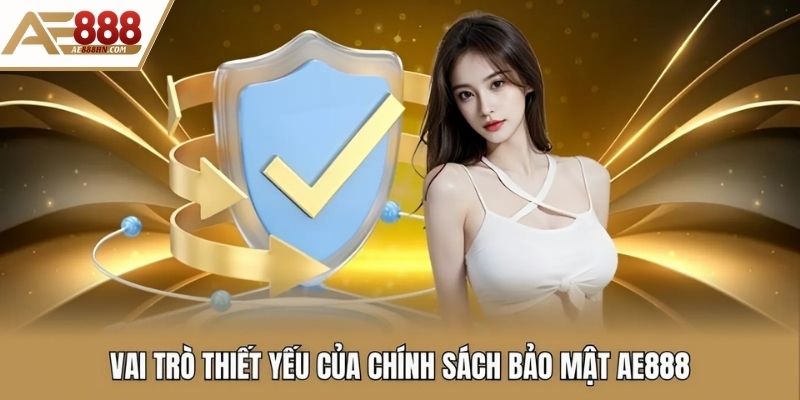 Vai trò thiết yếu của chính sách bảo mật AE888