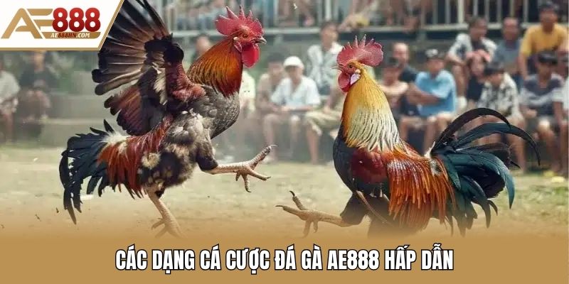 Các dạng cá cược đá gà AE888 hấp dẫn
