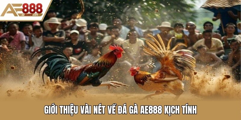 Giới thiệu vài nét về đá gà AE888 kịch tính