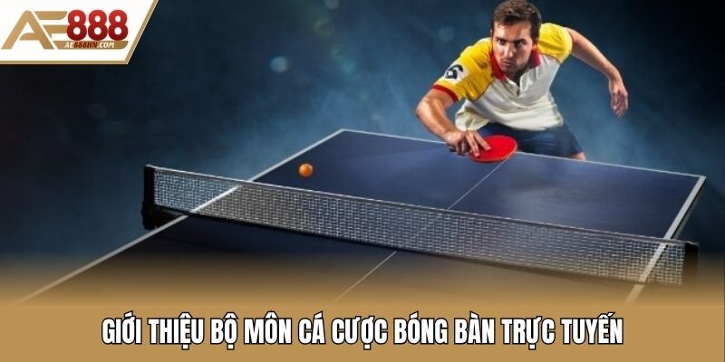 Giới thiệu bộ môn cá cược bóng bàn trực tuyến