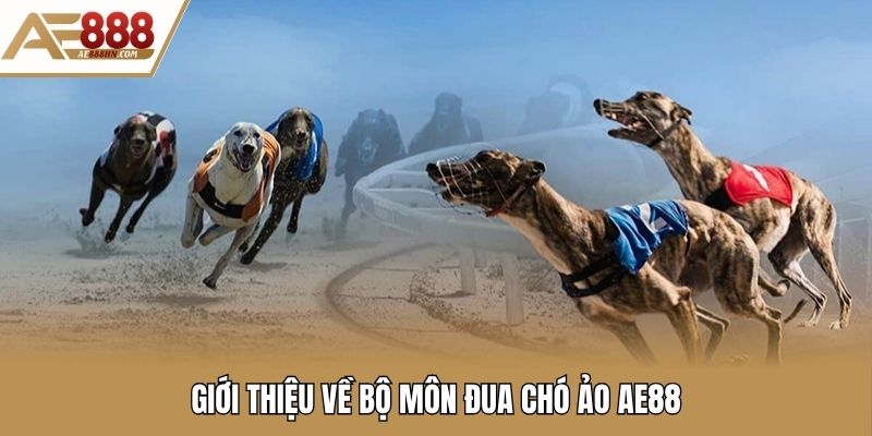 Giới thiệu về bộ môn đua chó ảo AE88