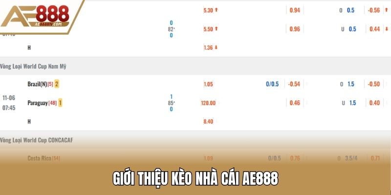 Giới thiệu kèo nhà cái AE888