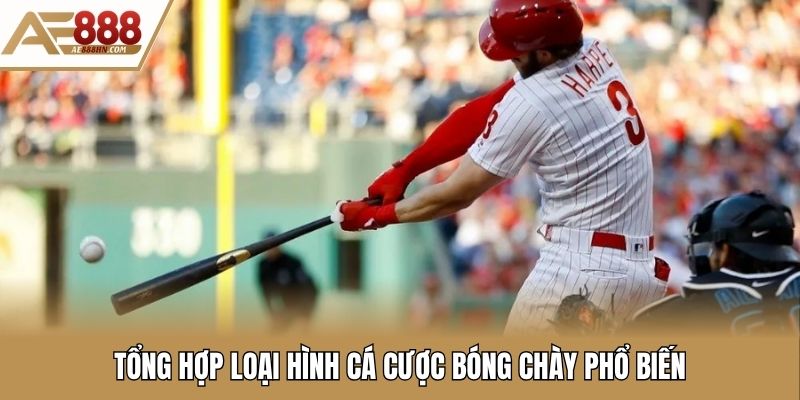 Tổng hợp loại hình cá cược bóng chày phổ biến