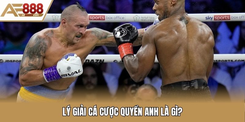 Tổng quan giới thiệu về cá cược quyền anh