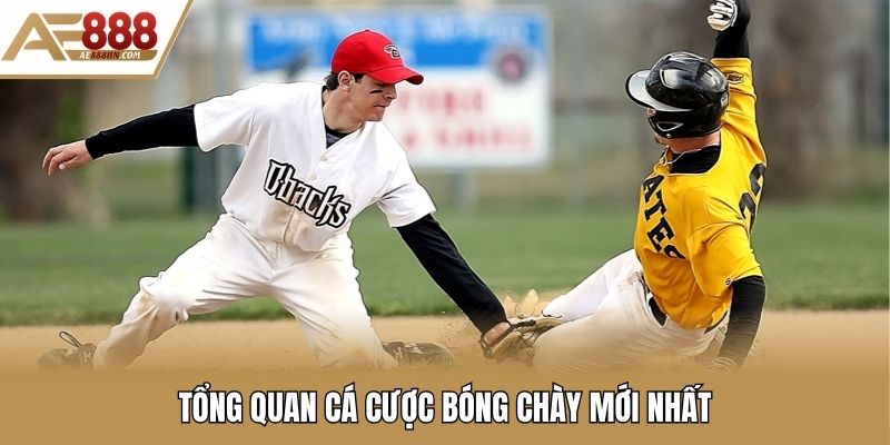 Tổng quan cá cược bóng chày mới nhất