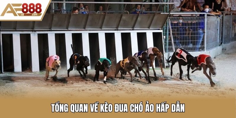 Tổng quan về kèo đua chó ảo hấp dẫn