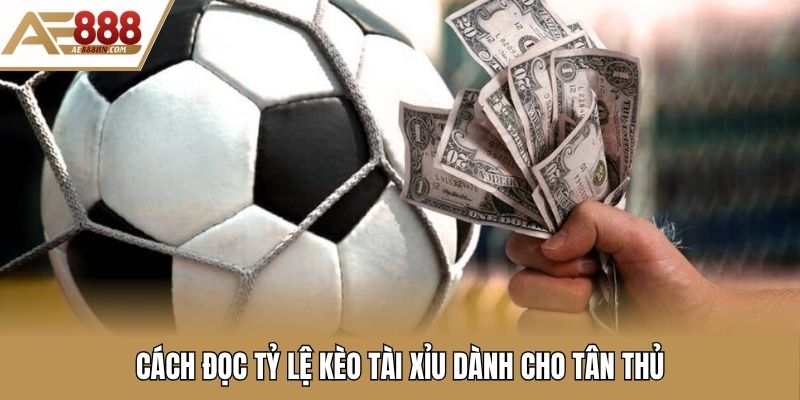 Cách đọc tỷ lệ kèo tài xỉu dành cho tân thủ