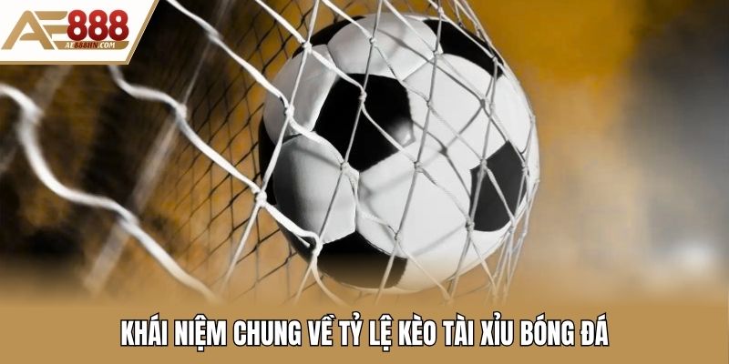 Khái niệm chung về tỷ lệ kèo tài xỉu bóng đá